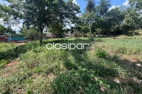 Terreno en Luque Cañada Garay — foto 5