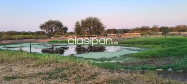 Te presento esta increíble propiedad rural en Fuerte Olimpo — foto 3