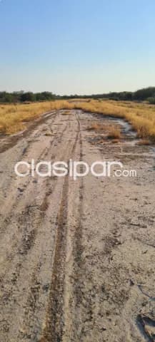 Te presento esta increíble propiedad rural en Fuerte Olimpo — foto 4