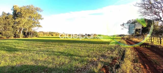 🌾9 hectáreas a 1.5 km de la Ruta I - Carmen del Paraná - Itapúa🌾 — foto 3