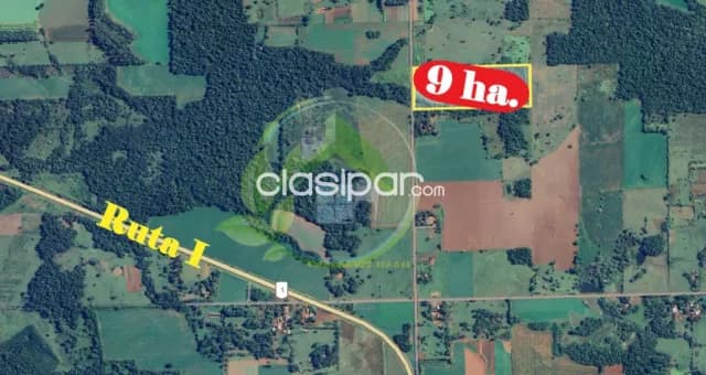 🌾9 hectáreas a 1.5 km de la Ruta I - Carmen del Paraná - Itapúa🌾 — foto 4