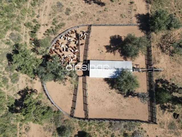 En Venta Campo ganadero - desarrollado, Chaco, Boquerón, distrito de Mariscal, (ID1931), foto 2