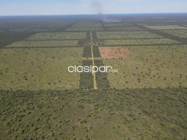En Venta Campo ganadero - desarrollado, Chaco, Boquerón, distrito de Mariscal, (ID1931), foto 5