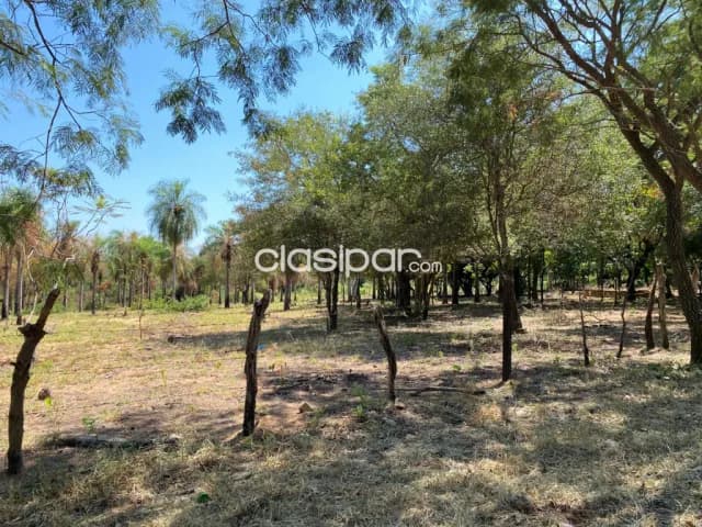 En Venta Lote de 2 Hectáreas con salida a 3 calles en San Bernardino, Ciervo Cua. (ID1934), foto 4