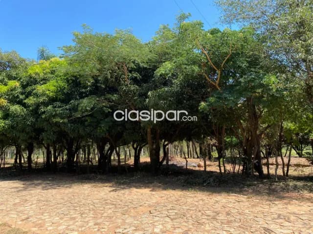 En Venta Lote de 2 Hectáreas con salida a 3 calles en San Bernardino, Ciervo Cua. (ID1934), foto 2