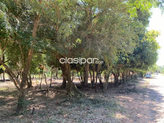 En Venta Lote de 2 Hectáreas con salida a 3 calles en San Bernardino, Ciervo Cua. (ID1934), foto 3