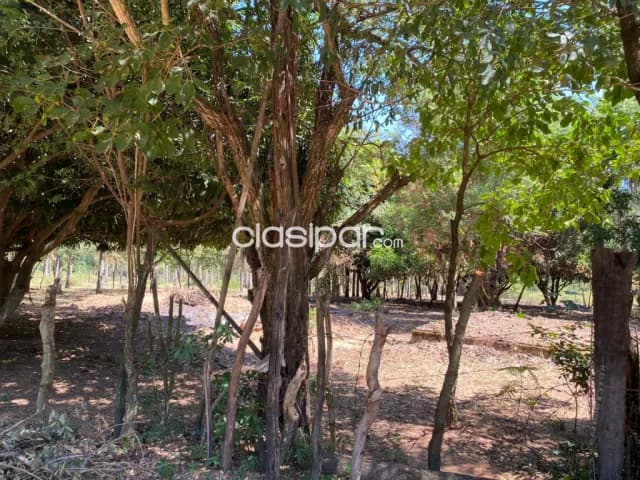 En Venta Lote de 2 Hectáreas con salida a 3 calles en San Bernardino, Ciervo Cua. (ID1934), foto 5