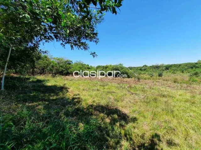 Amplio terreno de 2.4 há en altos, cordillera - oportunidad de inversión!, foto 3