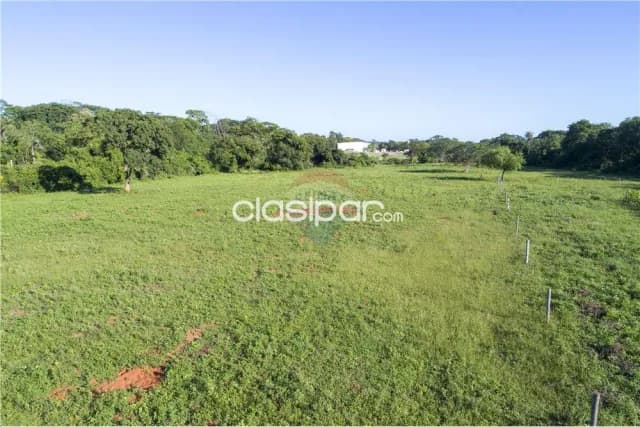 Terreno 3 hectareas en zarate isla-Luque c/ 92 mtrs de frente ideal p/desarrollo — foto 5