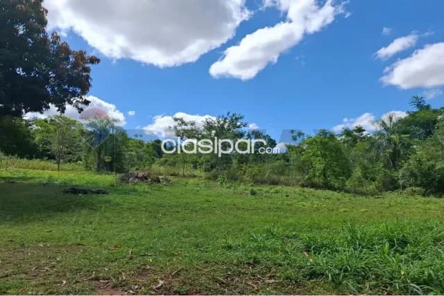 Terreno 1.8 hectareascen Luque tarumandy a 550 mtrs de ruta Luque san ber, foto 4