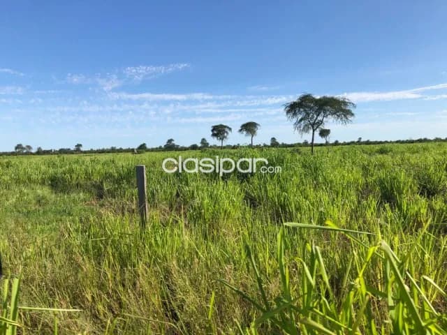 Campo de 1.761 Hectáreas, Zona Fortín Florida - CLCS7939074 — foto 2