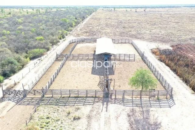 Campo de 1.761 Hectáreas, Zona Fortín Florida - CLCS7939074 — foto 4