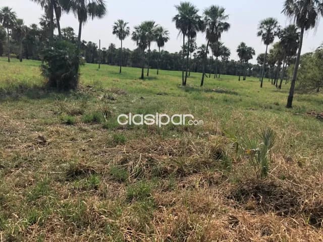 Campo de 1.761 Hectáreas, Zona Fortín Florida - CLCS7939074 — foto 5