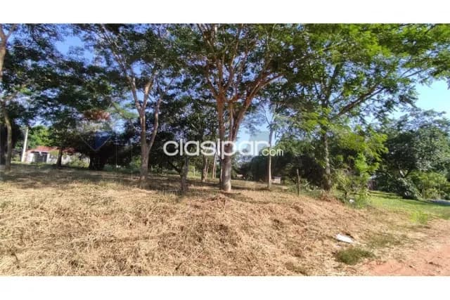 Terreno 2.814 m2 en bo.marambure-Luque 2 esquinas salida a 3 calles nivelado altura — foto 5