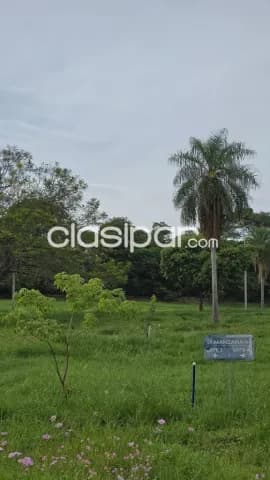 Hermoso Terreno de 547 m2 en Villa Martina, San Bernardino - CLLA7939665, foto 4