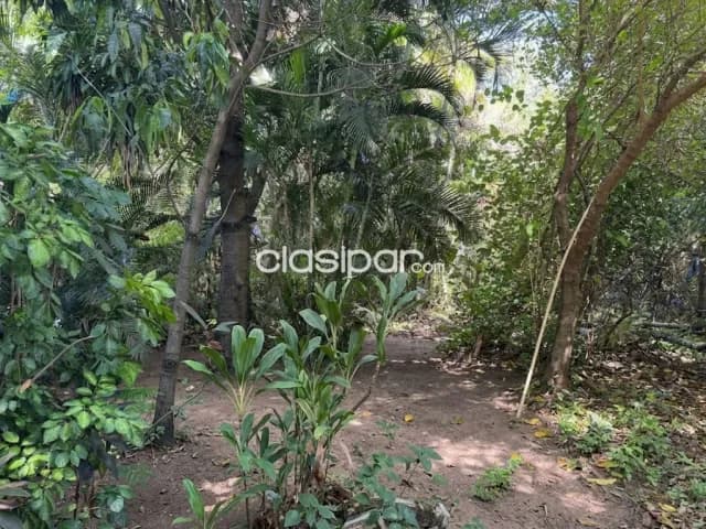 Terreno de 330 m2 en MRA Zona Fortis — foto 5
