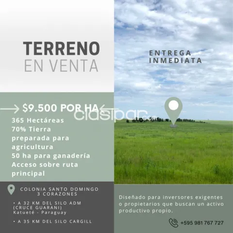 Terreno de 365 Hectáreas en Colonia Santo Domingo, 3 Corazones-CLCS7945339 — foto 3