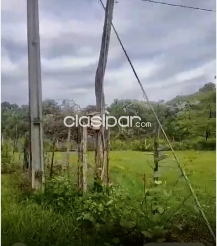 10 ha. Campo con casa en horqueta-zona capitan gimenez, foto 4