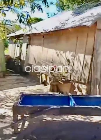 10 ha. Campo con casa en horqueta-zona capitan gimenez, foto 5