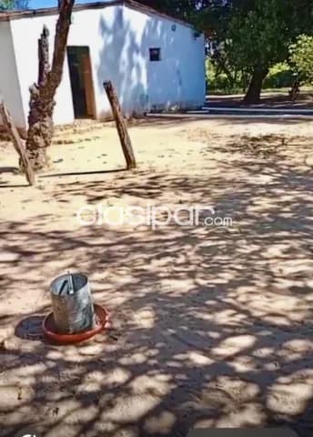 10 ha. Campo con casa en horqueta-zona capitan gimenez, foto 3