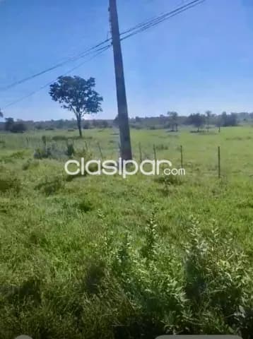57,5ha. Sobre asfalto en loreto - dpto. Concepcion — foto 3