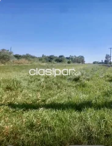 57,5ha. Sobre asfalto en loreto - dpto. Concepcion — foto 4