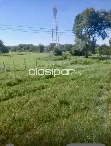 57,5ha. Sobre asfalto en loreto - dpto. Concepcion — foto 5