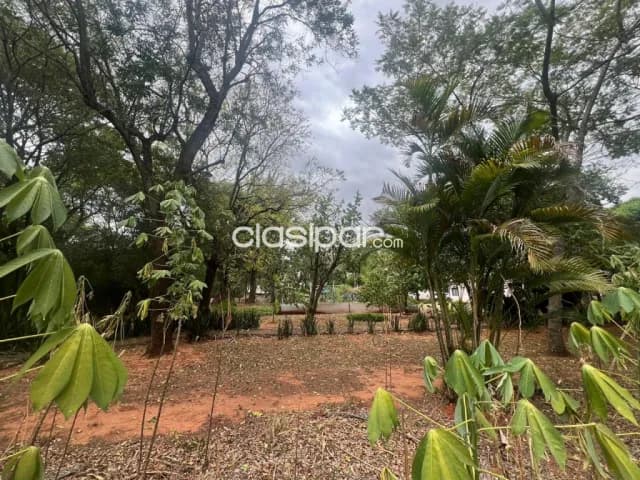 Propiedad de casi 1 Ha zona América y Jardín de oro - Luque, foto 4