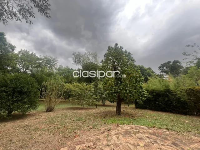 Propiedad de casi 1 Ha zona América y Jardín de oro - Luque, foto 5