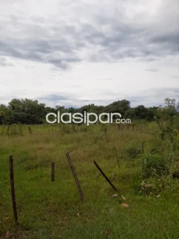 Terreno en juan leon mallorquin, foto 5
