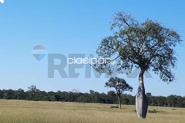 Estancia agricola en bahia negra-chaco pyo 20.000 hectareas, foto 1