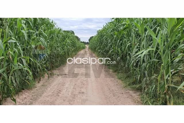 Estancia agricola en bahia negra-chaco pyo 20.000 hectareas, foto 3