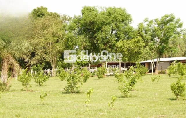 Propiedad rural en villeta, foto 4
