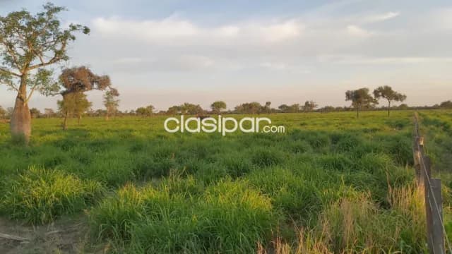 Estancia de 900 Hectáreas en Zona Paratodo - CLCS7951189, foto 2