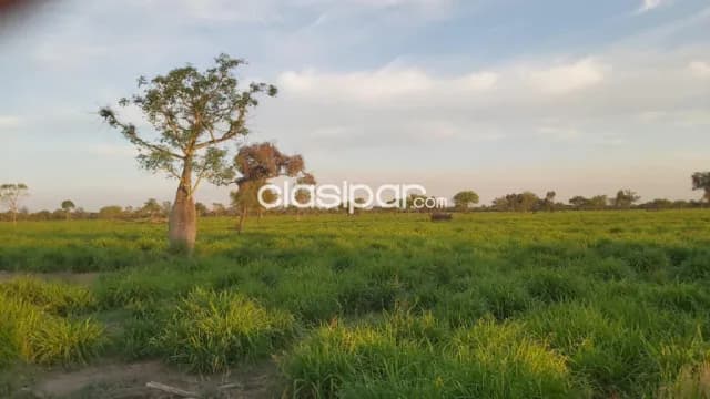 Estancia de 900 Hectáreas en Zona Paratodo - CLCS7951189, foto 3