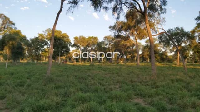 Estancia de 900 Hectáreas en Zona Paratodo - CLCS7951189, foto 4
