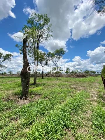 Propiedad de 3.750 Hectáreas en Pozo Colorado, Villa Hayes - CLCS7953234 — foto 3