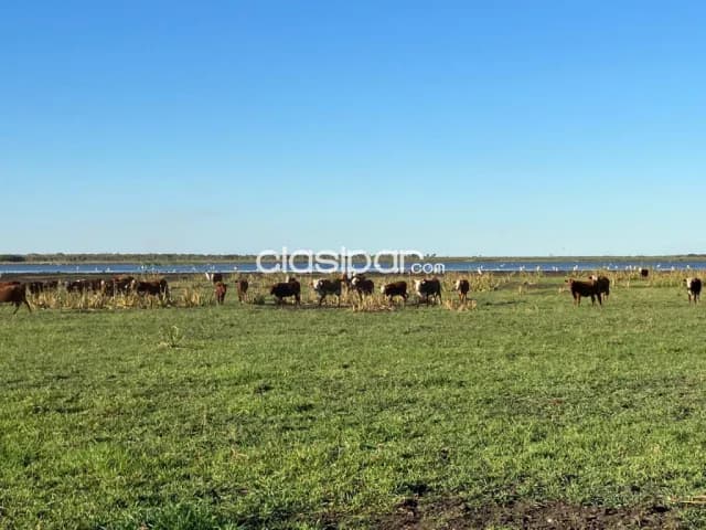 Propiedad de 3.750 Hectáreas en Pozo Colorado, Villa Hayes - CLCS7953234 — foto 2