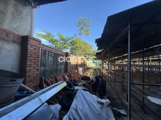 Terreno en Villa Elisa — foto 4