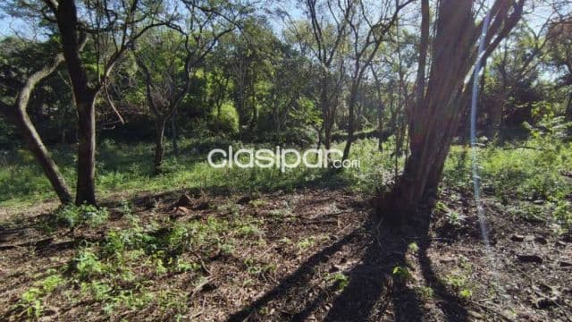 Amplio terreno de 3.810 m2 en tarumandy Luque