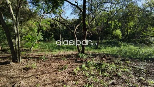 Amplio terreno de 3.810 m2 en tarumandy Luque, foto 3