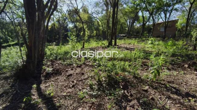 Amplio terreno de 3.810 m2 en tarumandy Luque, foto 4