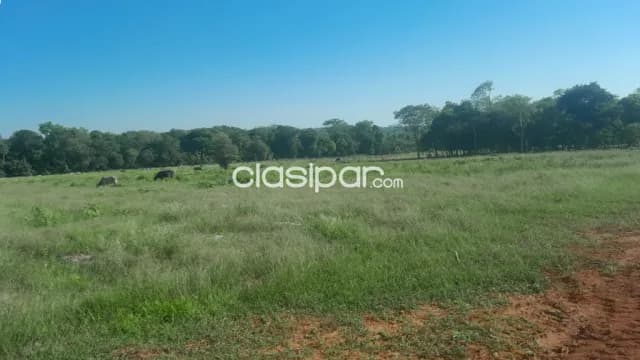 Inversión en zona de altos. Tierra virgen, foto 5