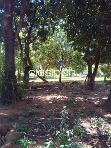 Terreno en Luque, foto 3