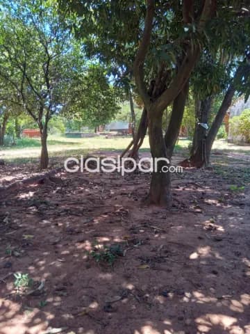 Terreno en Luque, foto 4