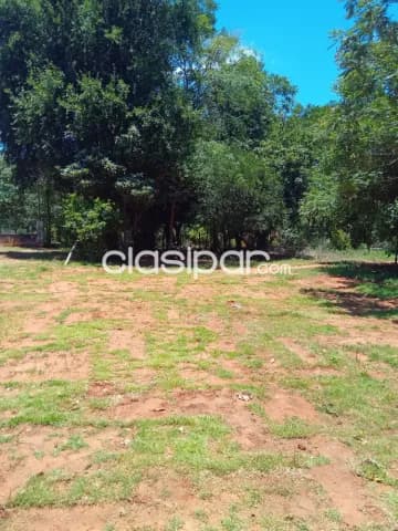 Terreno en Luque, foto 5