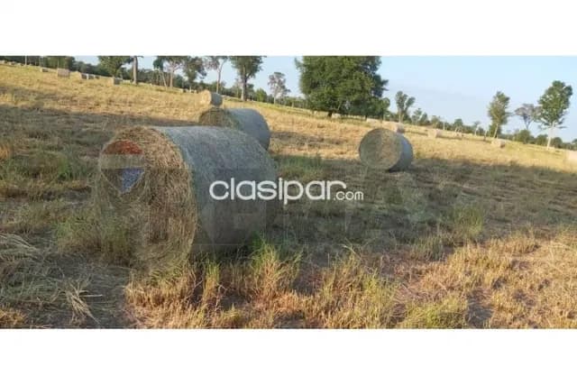 En venta campo productivo en alto paraguay, foto 5