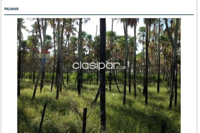 En venta estancia san valentín | presidente hayes, foto 5