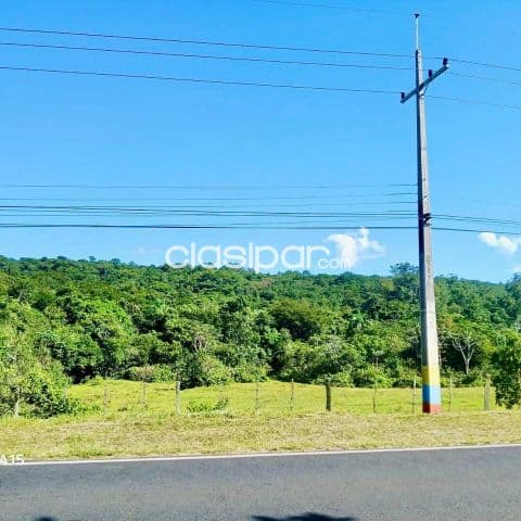 Terreno Rural en Nueva Colombia sobre Ruta - 11 Ha