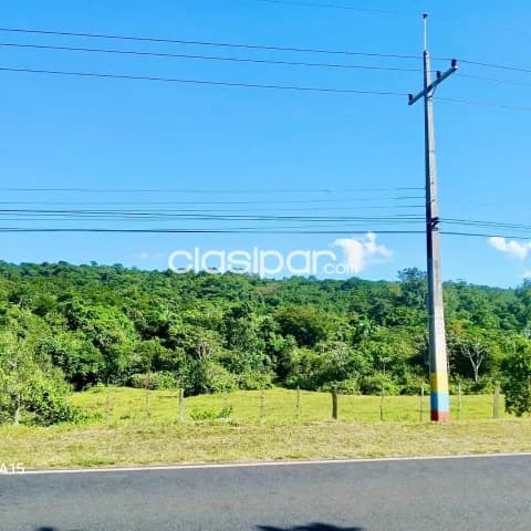 Terreno Rural en Nueva Colombia sobre Ruta - 11 Ha, foto 2